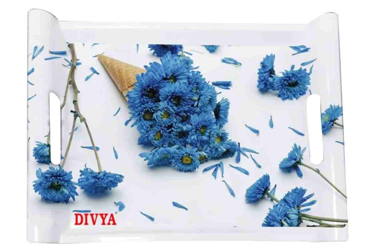 DIVYA Extra Large Funny Tray